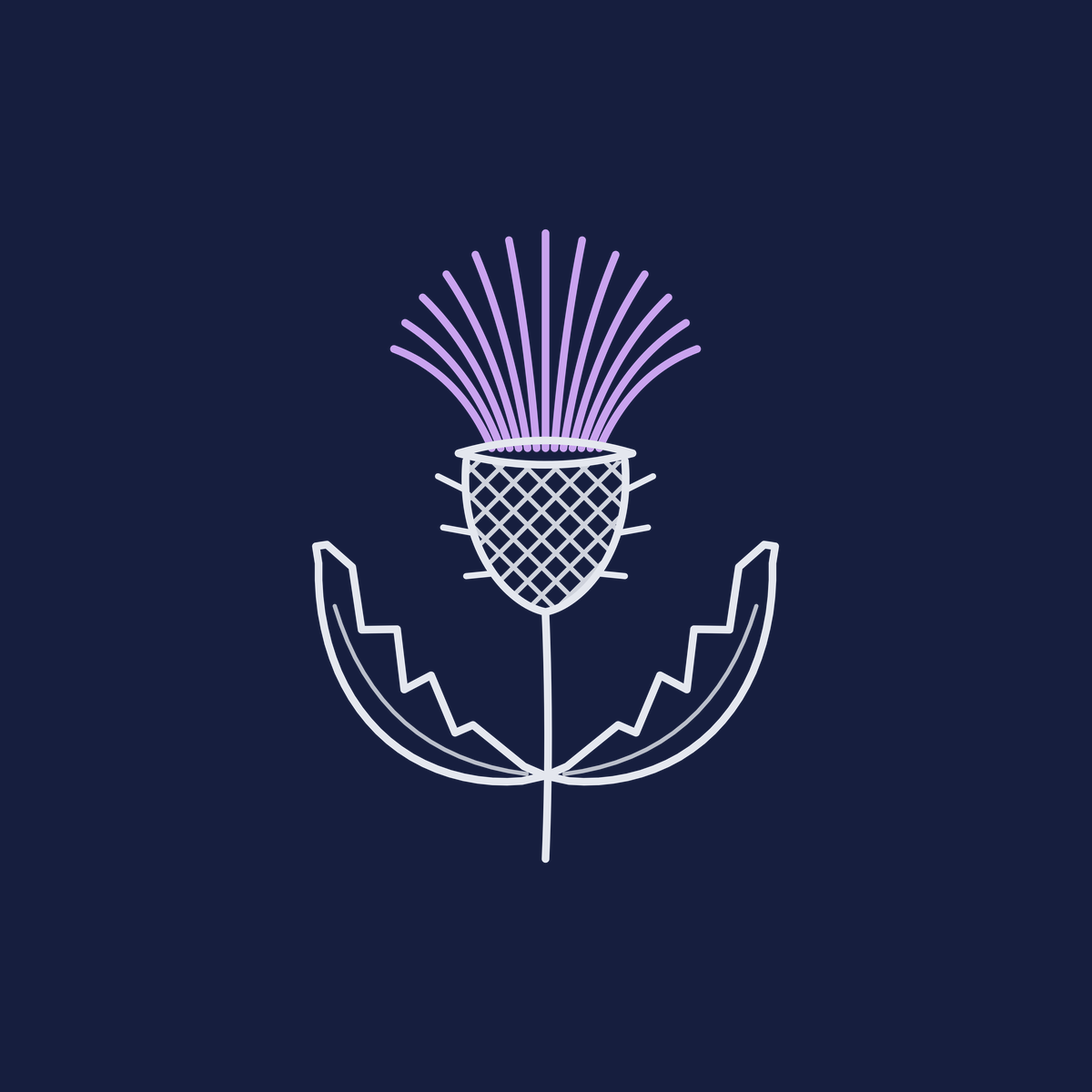 Scottish Thistle design