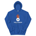 Royal Kilmarnock Pride of Ayrshire hoodie – Jura Inventive